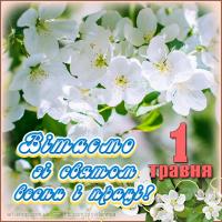 Вітаємо зі святом весни і праці! Вітаємо зі святом весни і праці!